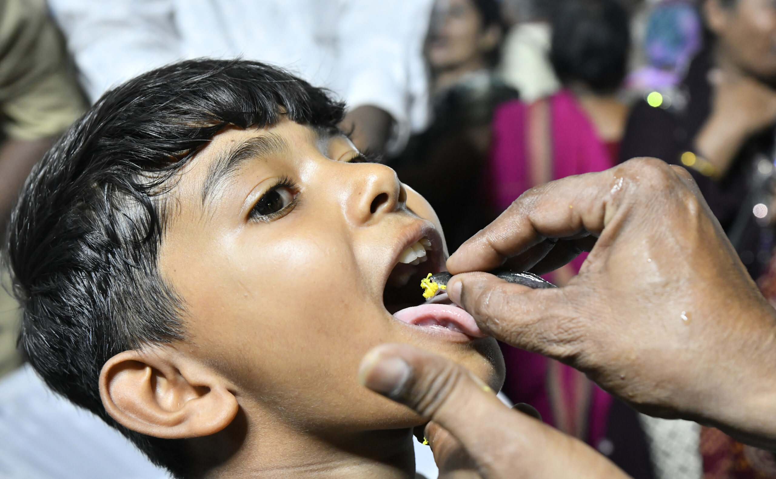 Live Fish Prasadam is administered to people of all ages as a cure for asthma