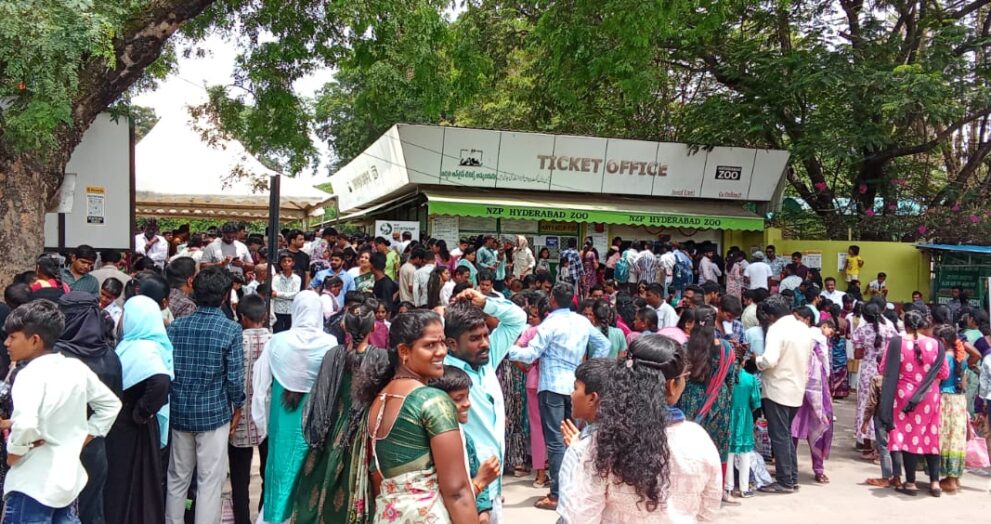 (Twenty Four Thousand Two hundred and ten) visitors witnessed Nehru Zoological Park in Hyderabad. As expected from the earlier years' visitation, this year also more number of visitors has shown interest in visiting the Zoo.