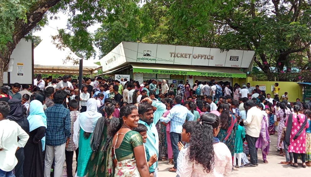 (Twenty Four Thousand Two hundred and ten) visitors witnessed Nehru Zoological Park in Hyderabad. As expected from the earlier years' visitation, this year also more number of visitors has shown interest in visiting the Zoo.
