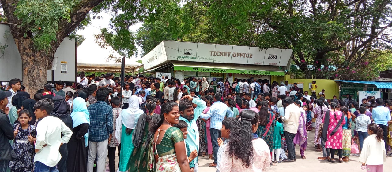 (Twenty Four Thousand Two hundred and ten) visitors witnessed Nehru Zoological Park in Hyderabad. As expected from the earlier years' visitation, this year also more number of visitors has shown interest in visiting the Zoo.